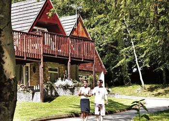 Honicombe Manor Resort