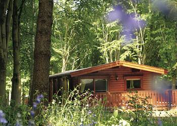 Kenwick Woods Lodges
