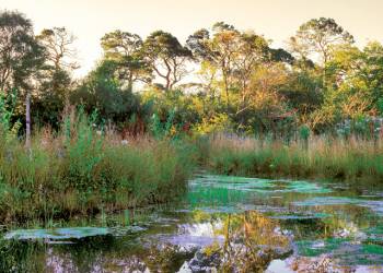 Wild Rose Park
