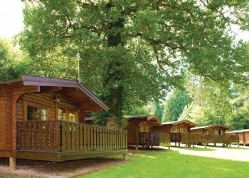 Whitemead Forest Park