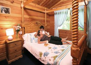 Sherwood Castle Holiday Forest