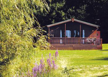 Gurnard Pines