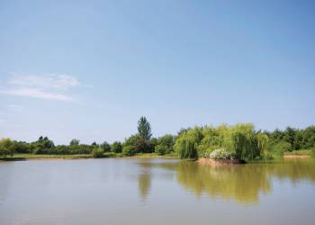 Willow Lakes Cottages