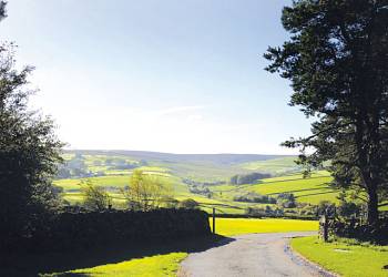 Longnor Wood