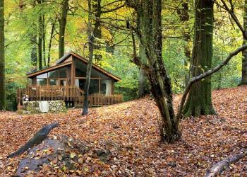 Forest of Dean Lodges