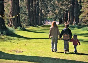 Witton Castle Country Park