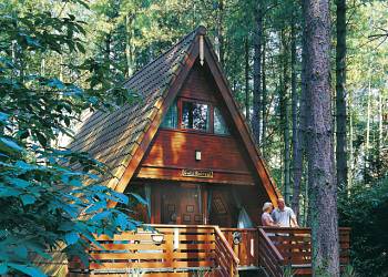 Bracken Lodge and Owls Retreat