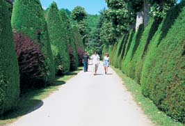 Le Paradis