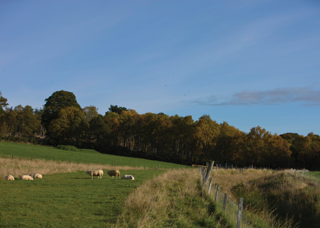 Kessock Highland Lodges