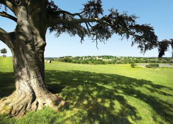 Witton Castle Country Park