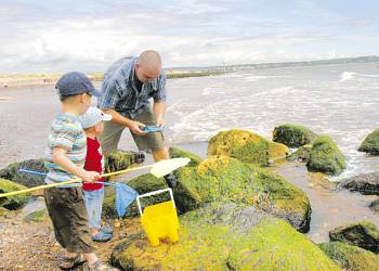 Dawlish Sands