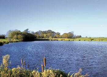 Barmston Farm