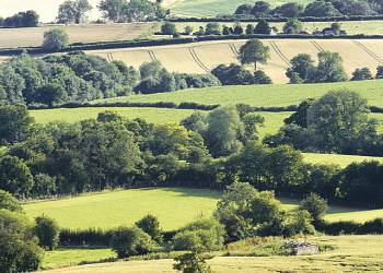 Wigley Orchard