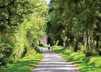 Wild Rose Park