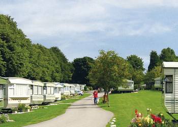Lime Tree Park