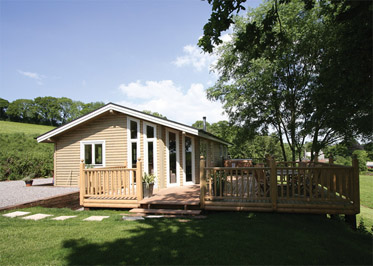 Click here for more about Wattles