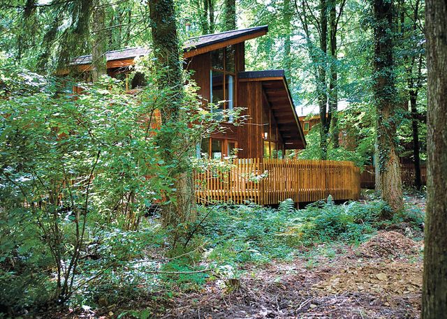 Sherwood Forest Lodges